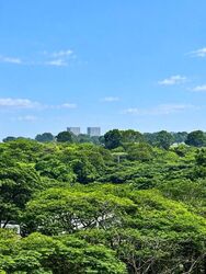 Sanctuary Green (D15), Condominium #628901551